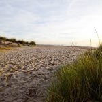 SCB Spain Convention Bureau - Castellón -Playa - Camino