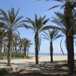 SCB Spain Convention Bureau - Castellón -Playa - Parque Litoral